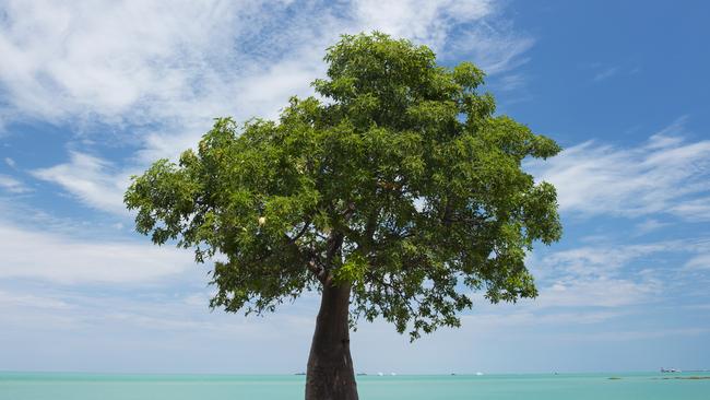 Stunning Broome. Picture: Lauren Bath