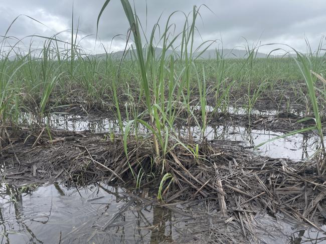 QLD announces low-interest loans for flood hit farms, businesses