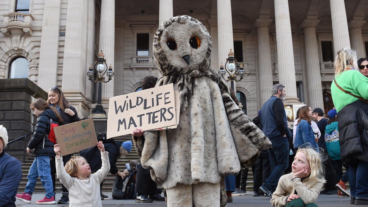 Demonstrators dressed up for the rally, with a focus on animals under threat. Picture: NCA NewsWire / Josie Hayden