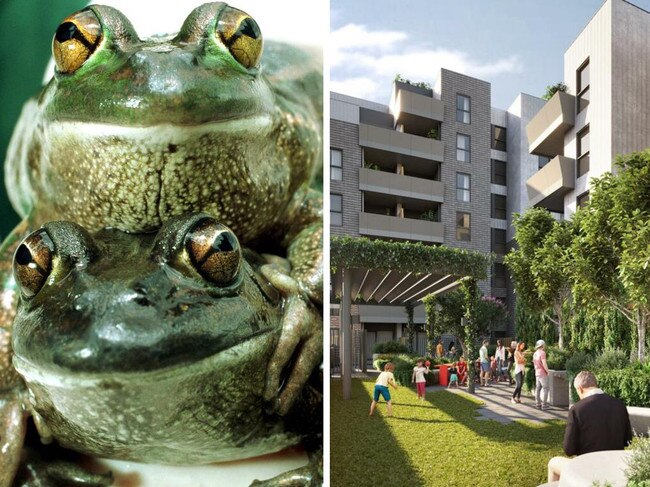 Why frogs are holding up $2bn housing development