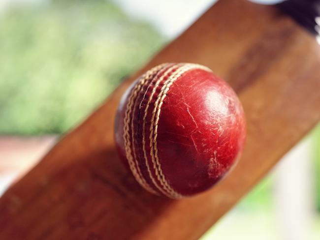 Cricket’s stars of the future tipped to be big hits