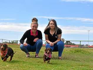 Jamie Mitchell with Slinky and Jess Pearce with Mia ahead of Saturday's dachshund day,. Picture: Ellen Ransley