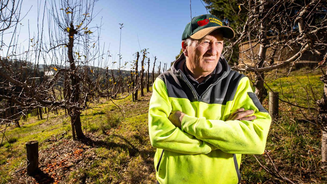 Ian Plummer has sold off most of his apple orchards after years of financial struggles. Picture: Tom Huntley