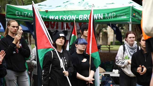 Pro-Palestine students on campus