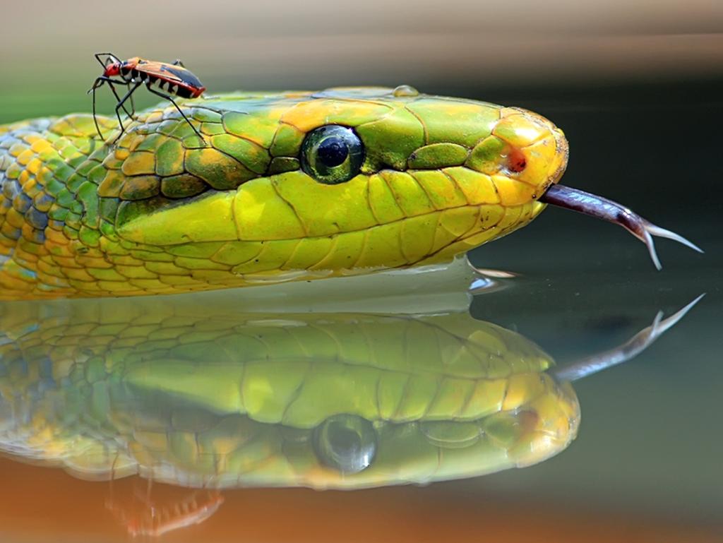 ‘Membelakangi’ by Sandi Nopri Yanto/Photocrowd.com ... Location: Java, Indonesia.