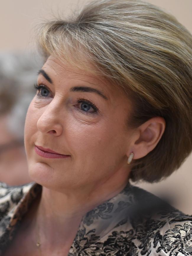 Michaelia Cash said Mr De Garis was brave for owning up.