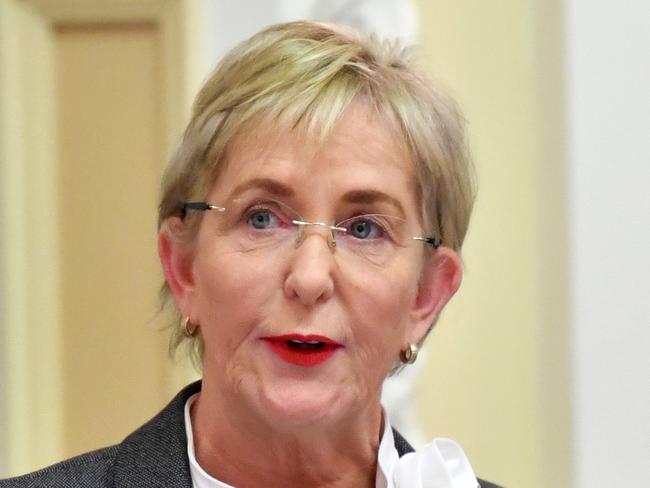 Shadow Minister for Communities, Women and Youth, Child Safety and the Prevention of Domestic and Family Violence and Shadow Minister for Disability Services and Seniors, Ros Bates is seen speaking during Question Time at Parliament House in Brisbane, Tuesday, October 24, 2017. (AAP Image/Darren England) NO ARCHIVING