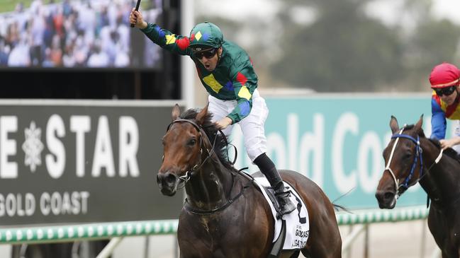 Alligator Blood after winning the 2020 Gold Coast Magic Millions Guinea. Picture: Getty Images