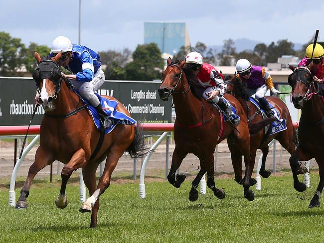 Desmon’s Pride winning at the Gold Coast in December. Picture: Grant Peters, Trackside Photography