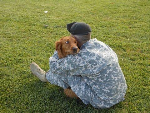 ANIMALS:    Surfing Dog Helps Empower Veterans and Kids   May 02