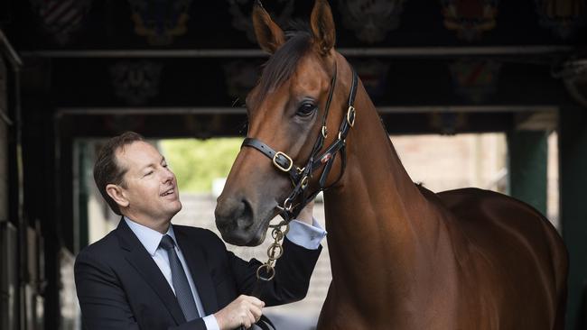 Tabcorp chief executive Adam Rytenskild: ‘This is a big shot in the arm for the Queensland racing industry – it is also great for TABs in pubs and clubs, and great for punters right across Queensland.’ Picture: Chris Pavlich