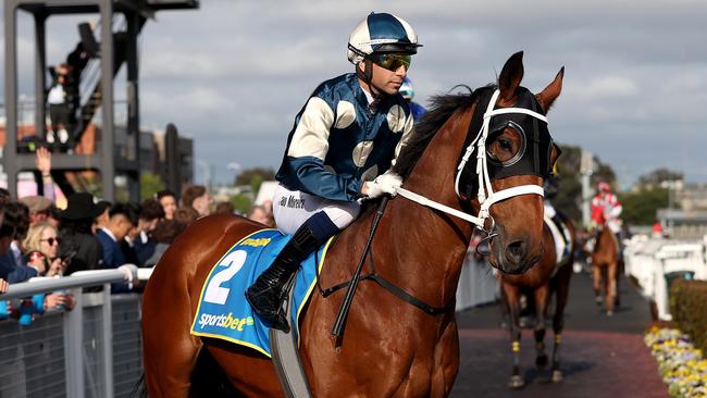 MELBOURNE, AUSTRALIA - OCTOBER 19: JoÃÂ£o Moreira riding Buckaroo is seen ahead of race 9 the Sportsbet Caulfield Cup during Melbourne Racing at Caulfield Racecourse on October 19, 2024 in Melbourne, Australia. (Photo by Kelly Defina/Getty Images)