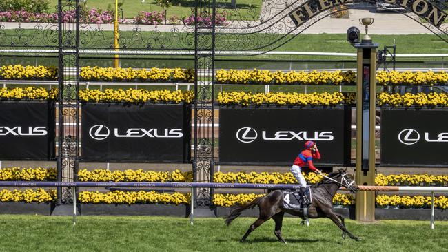 Verry Elleegant was in a field of her own. Jay Town/Racing Photos via Getty Images.