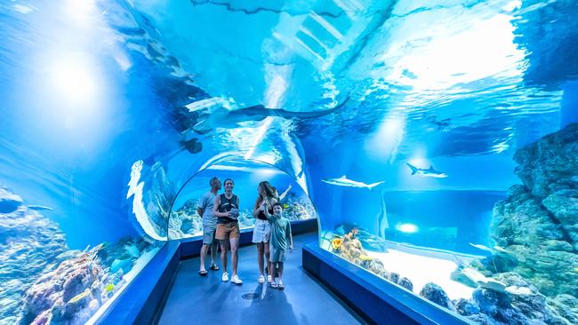 Cairns Aquarium seeking new investors.