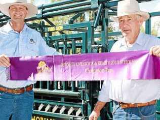 Lance Whitaker with Barry Whitaker, winner of the champion pen of steers, in front of the veterinary crush won by Barry and Carol Whitaker.