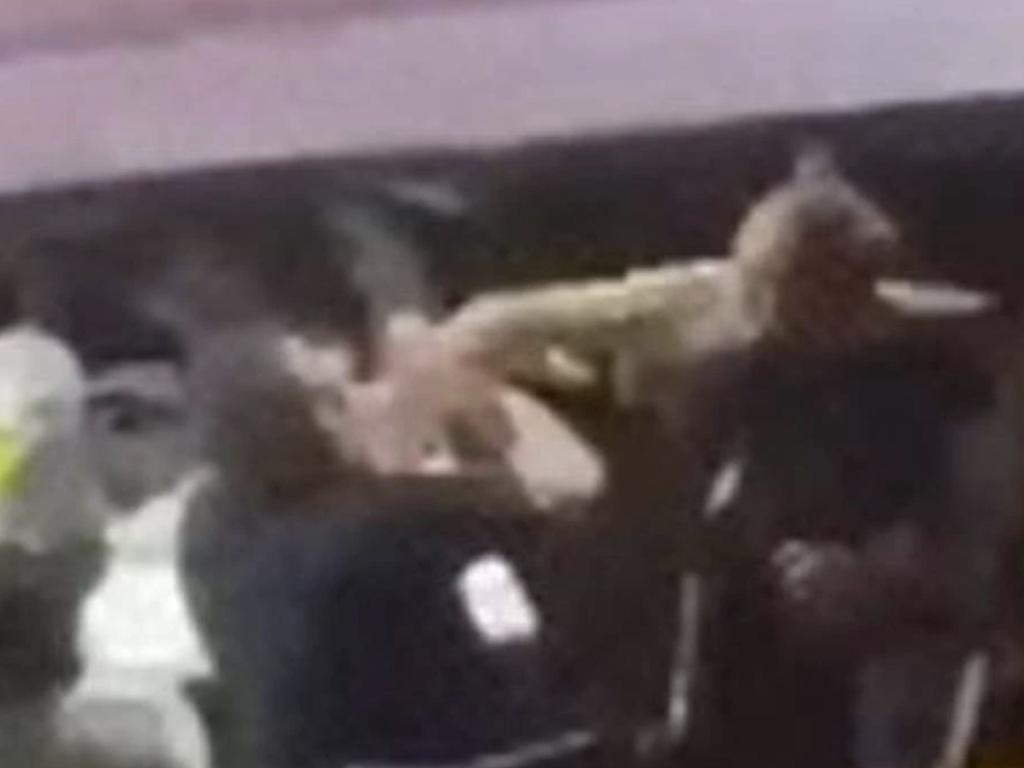 Mobile phone footage was captured of the incident.