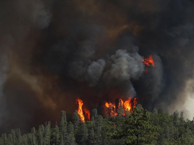 The Carr Fire burns through trees along highway 299 near Whiskeytown, California. Picture: Getty