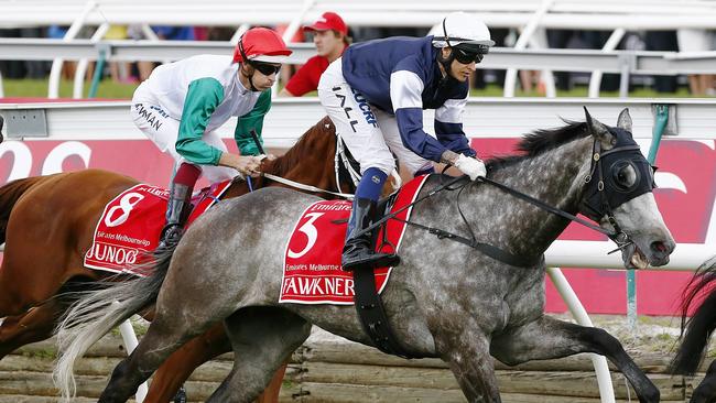 A relation to former star Fawkner will go under the hammer. Picture: Wayne Ludbey