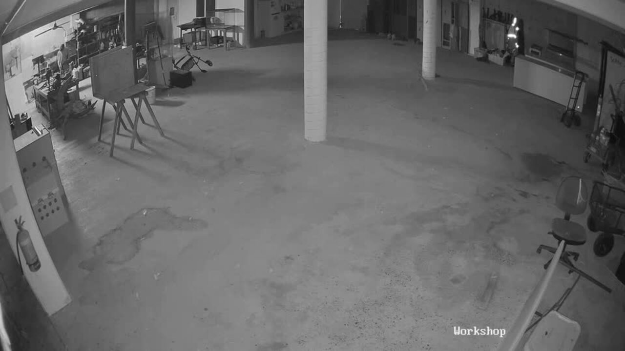 Man harasses crocodile after wildlife park break-in