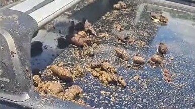 Natalie’s car adorned with dog poo. Picture: Supplied