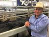 Livestock prices expected to kick after recent rain