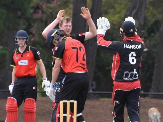 South Caulfield keeper Zac Hanson celebrates a wicket. Picture: Ron Weil