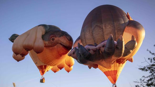 Skywhales over Elder Park / Emma Brasier.