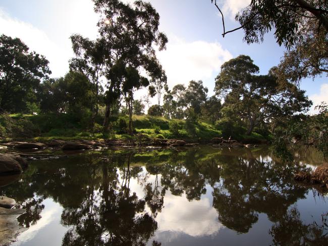 Take a picnic and set yourself up among the glorious trees.