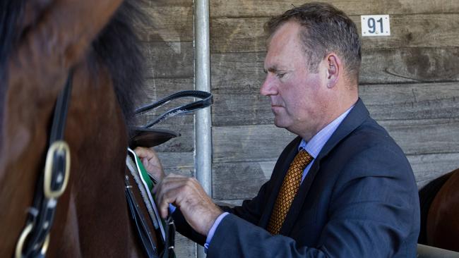 Trainer Rodney Northam will saddle up Move She Can at Scone on Monday. Picture: Jenny Evans / File