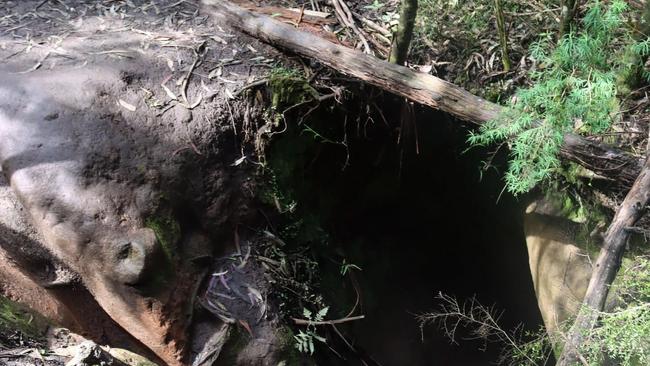 The Britannia Creek Cave is a unique caving site where explorers get the chance to spot glow worms. Picture: Facebook