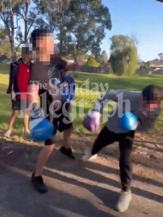 They meet in Sydney parks to fight.