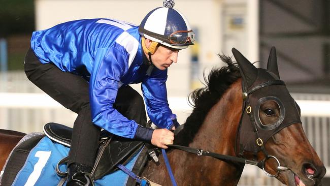 Winx, ridden by Hugh Bowman, enjoys a gallop at Breakfast with the Best at Moonee Valley. Picture: Michael Klein