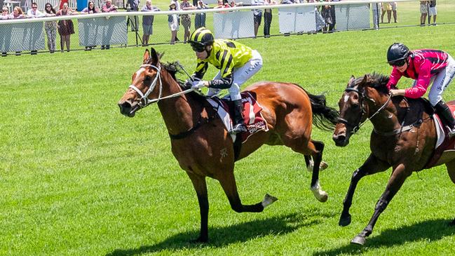 Dobbinair showed an electric turn of foot in the second at Murray Bridge. Picture: Makoto Kaneko