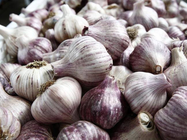 Letetia Ware from Middleton , Tasmanian Gourmet Garlic, grower , picture ,Kim Eiszele