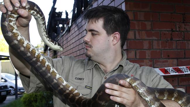 Deadly snakes rescued after Reynella blaze | The Advertiser