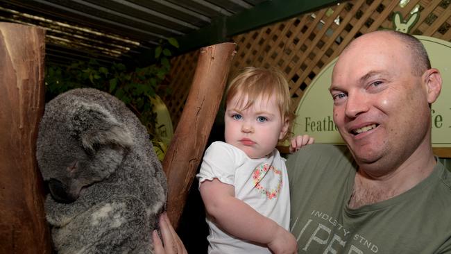 Stuart Lindsay and Isla, 1 ½, meet a koala in November 2014. Picture: Peter Kelly