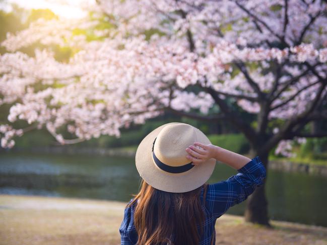 Hold onto your hats, Jetstar’s Japan flight frenzy is here. 