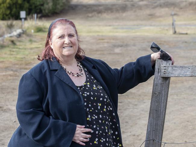 Glenorchy City Alderman Jan Dunsby at Berriedale. Picture: Chris Kidd