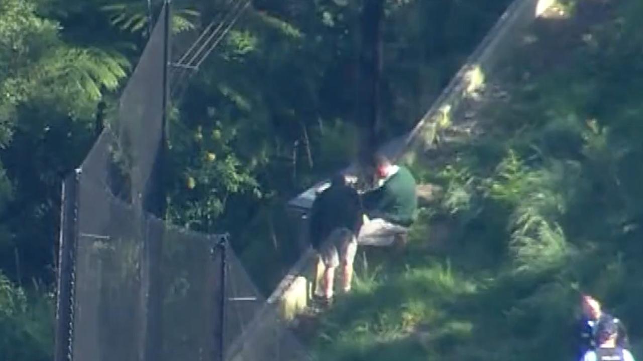 Zoo keepers were seen inspecting the fence. Picture: The Today Show/ Channel 9.