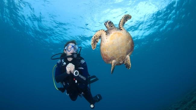 Diving is one of the Maldives' most popular attractions.