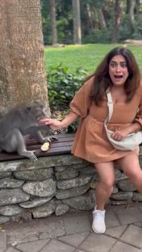 Moment tourist gets bitten by a monkey in Bali