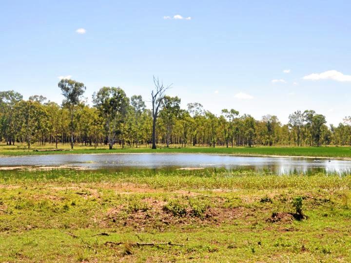 Galloway Plains, a cattle grazing property west of Calliope, sold at auction for $15 million.