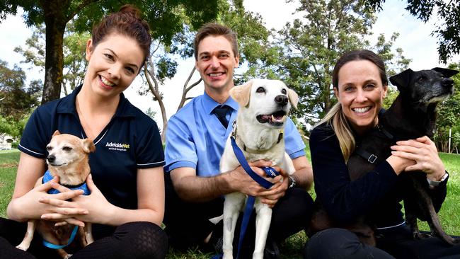 AdelaideVet Animal Hospital vets Dr Eleanor Parker with Beanie, Dr Chris Brown with Toffee, and Dr Piri Cutts with Baci at Koster Park, Trinity Gardens. Picture: Bianca De Marchi