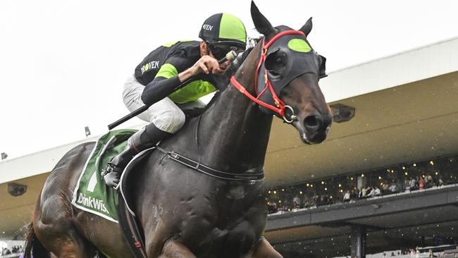 Smart sprinter Private Eye will be attempting to create history by becoming the first horse this century to take out the Group 1 Stradbroke Handicap as topweight and without a lead-up run. Picture: Bradley Photos