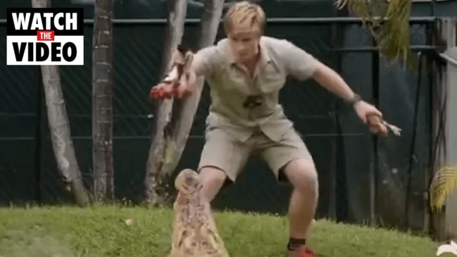 Robert Irwin narrowly escapes croc jaws (Animal Planet)