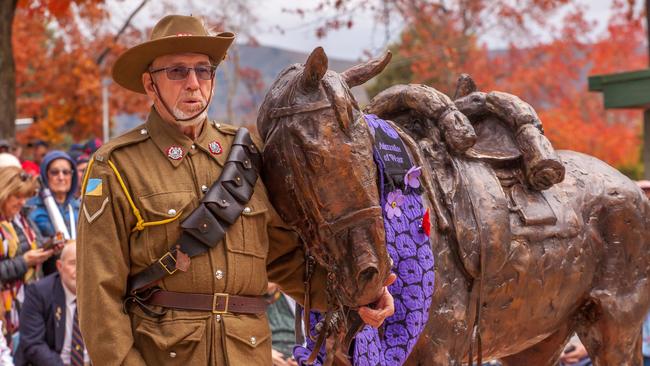 Ross Smith from Tallangatta was the driving force behind the recognition of Sandy the war horse. Picture: David Cottee