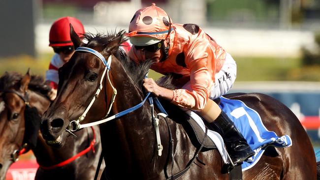 Black Caviar Racehorse Black Caviar ridden by jockey Luke Nolen winning race 5, TJ Smith Stakes at Royal Randwick Racecourse in Sydney.