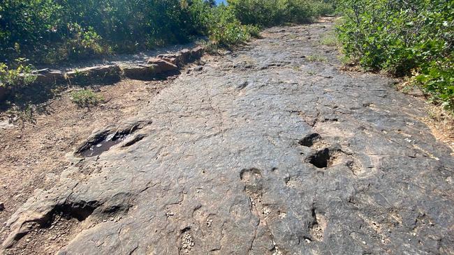 Dinosaur tracks fossilised on the ground in a Utah forest. Picture: AFP