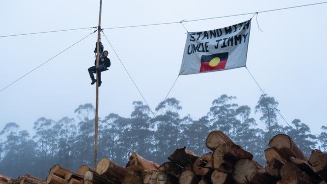 Hughie suspended at a logging couple in the West Kunanyi Range. Picture: Supplied.