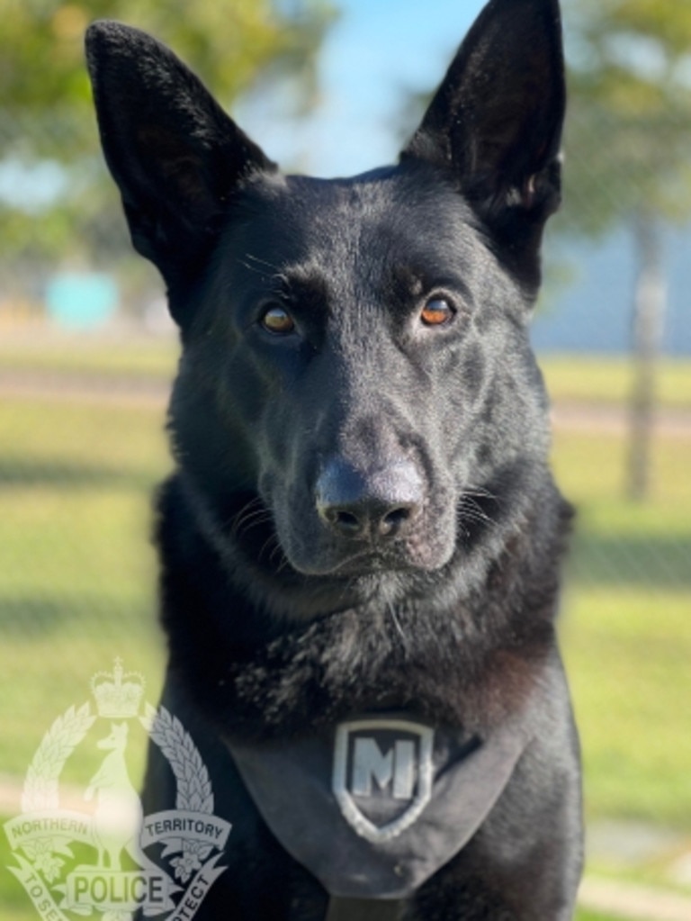 Patrol Dog Drax. Picture: Supplied